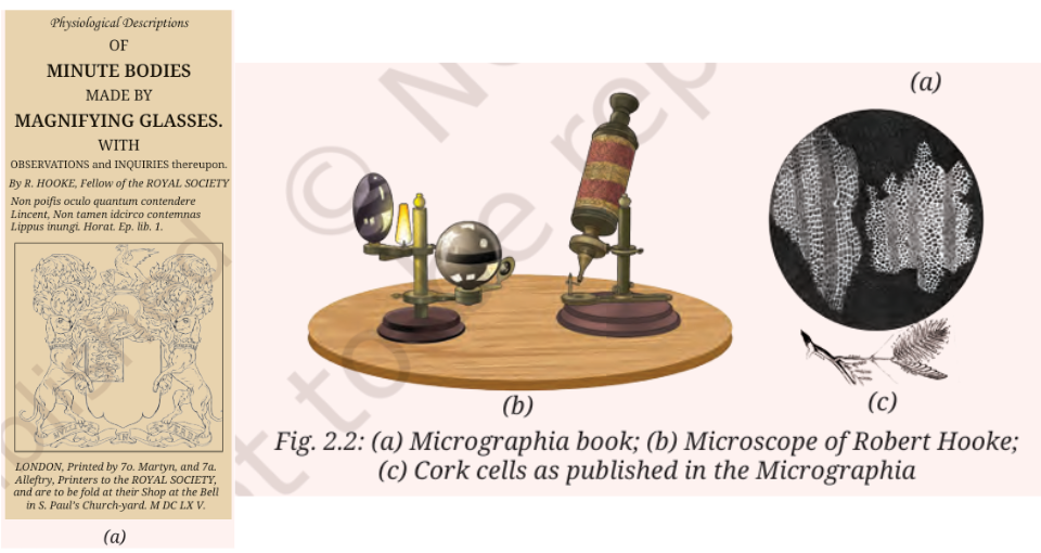 Three scientific illustrations: (a) circular microscope view showing cork cells with honeycomb-like structure, (b) antique microscope and spherical lens setup on a wooden base, and (c) feather and leaf drawings. Below, text reads: Fig 2.2: (a) Micrographia book; (b) Microscope of Robert Hooke; (c) Cork cells as published in the Micrographia. The scene is educational and historical, highlighting early discoveries in cell biology.
