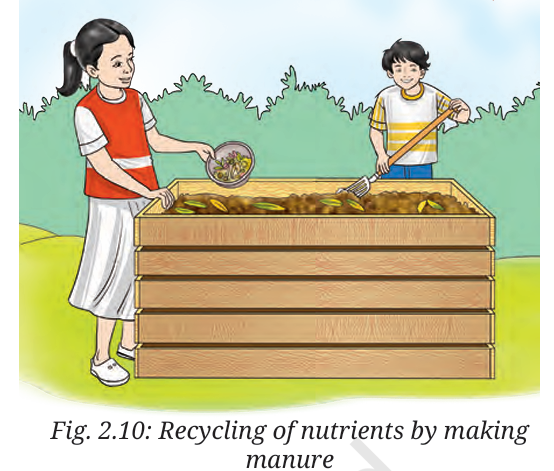 Recycling of nutrients by making 
manure from animal and plant waste.